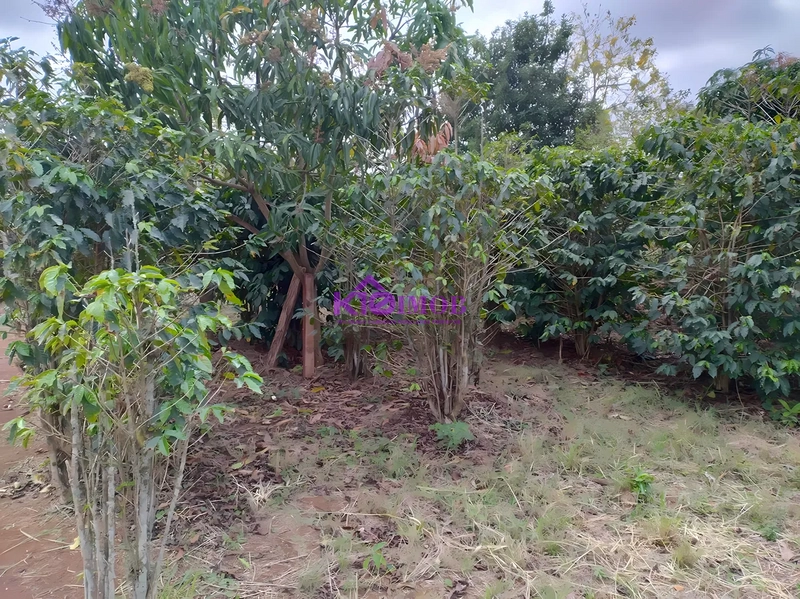 Terreno de 553m² para Chácara - Iperó/SP: 62ª foto da galeria de imagens do imóvel