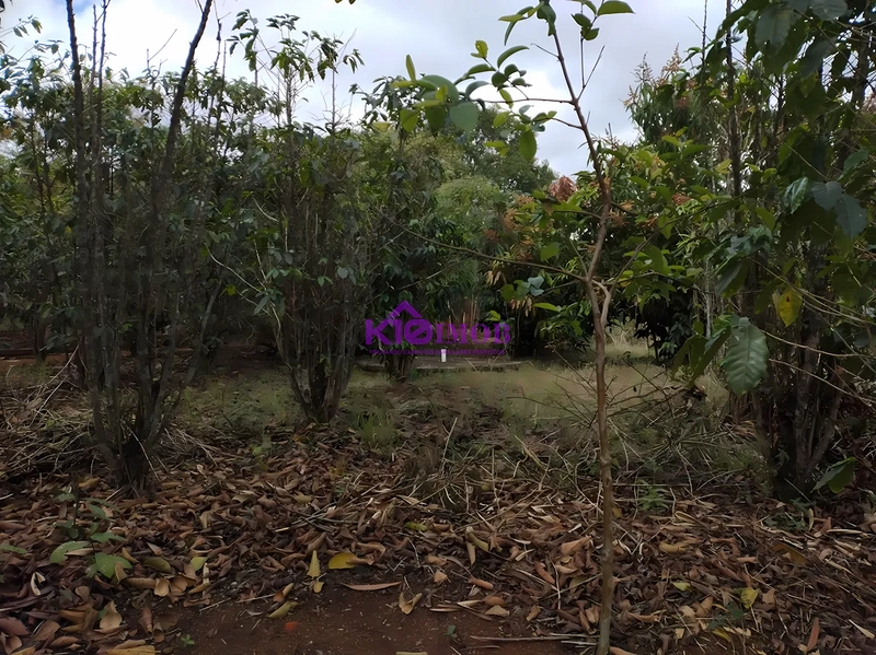 Terreno de 553m² para Chácara - Iperó/SP: 47ª foto da galeria de imagens do imóvel