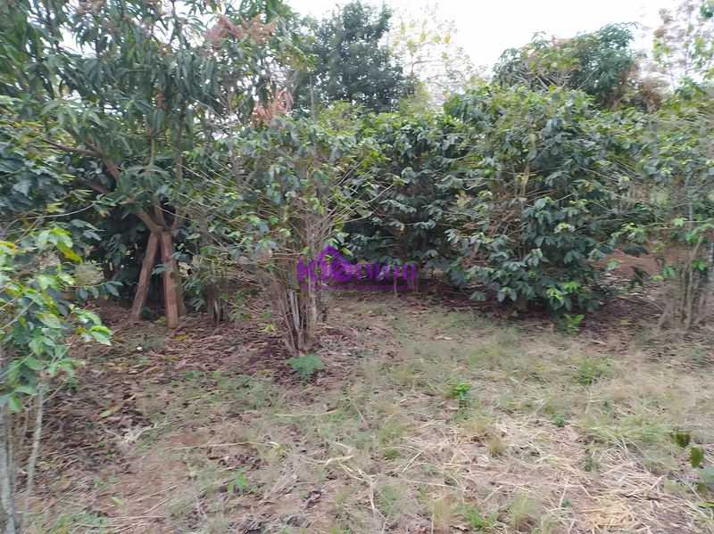 Terreno de 553m² para Chácara - Iperó/SP: 60ª foto da galeria de imagens do imóvel