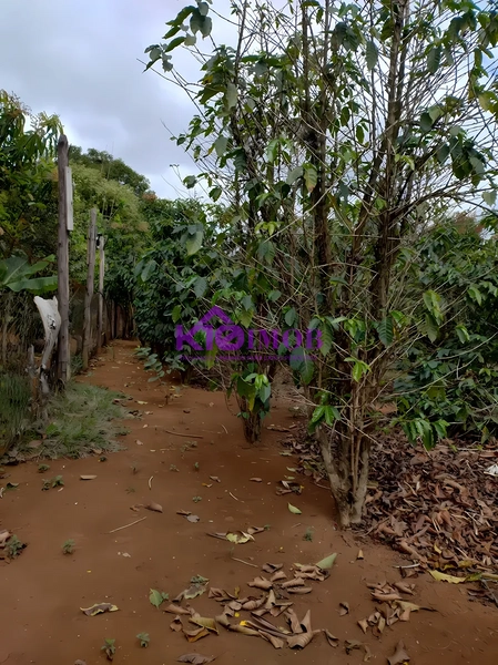 Terreno de 553m² para Chácara - Iperó/SP: 35ª foto da galeria de imagens do imóvel