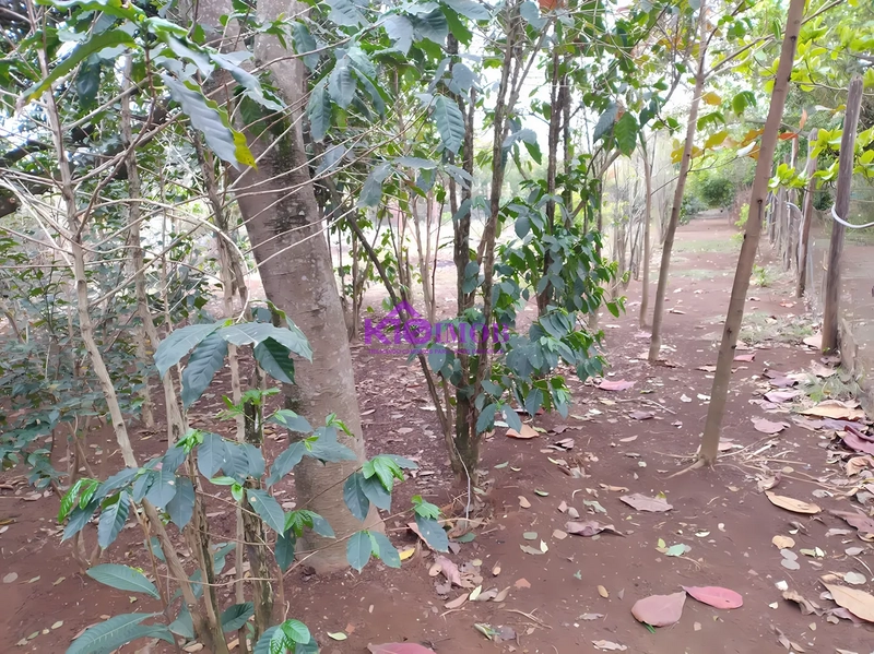 Terreno de 553m² para Chácara - Iperó/SP: 27ª foto da galeria de imagens do imóvel