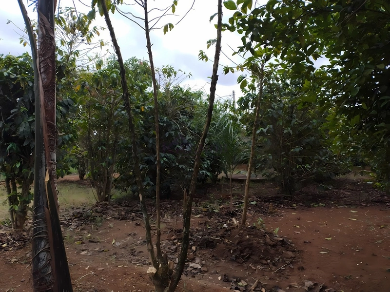 Terreno de 553m² para Chácara - Iperó/SP: 6ª foto da galeria de imagens do imóvel
