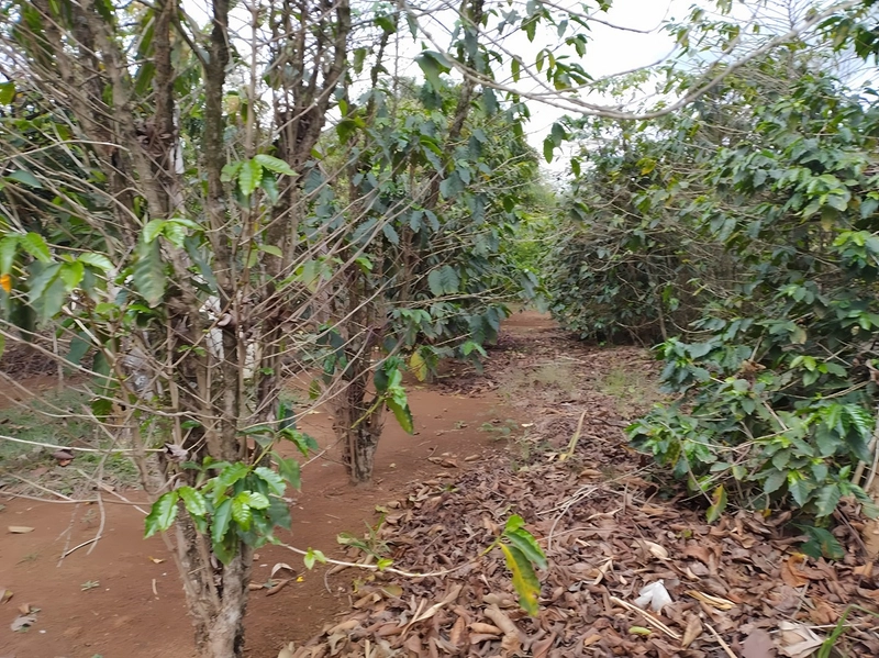 Terreno de 553m² para Chácara - Iperó/SP: 4ª foto da galeria de imagens do imóvel