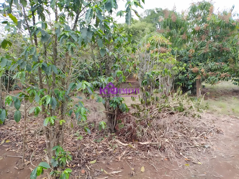 Terreno de 553m² para Chácara - Iperó/SP: 48ª foto da galeria de imagens do imóvel