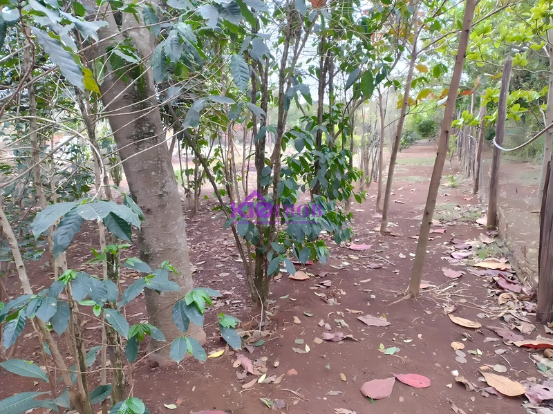 Terreno de 553m² para Chácara - Iperó/SP: 28ª foto da galeria de imagens do imóvel