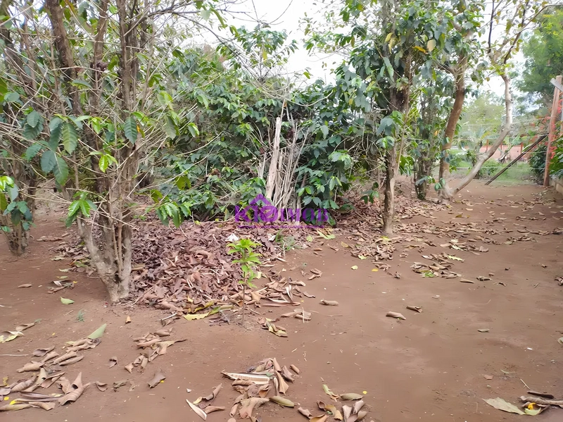 Terreno de 553m² para Chácara - Iperó/SP: 39ª foto da galeria de imagens do imóvel