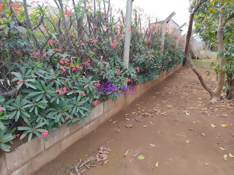 Terreno de 553m² para Chácara - Iperó/SP: 56ª foto da galeria de imagens do imóvel