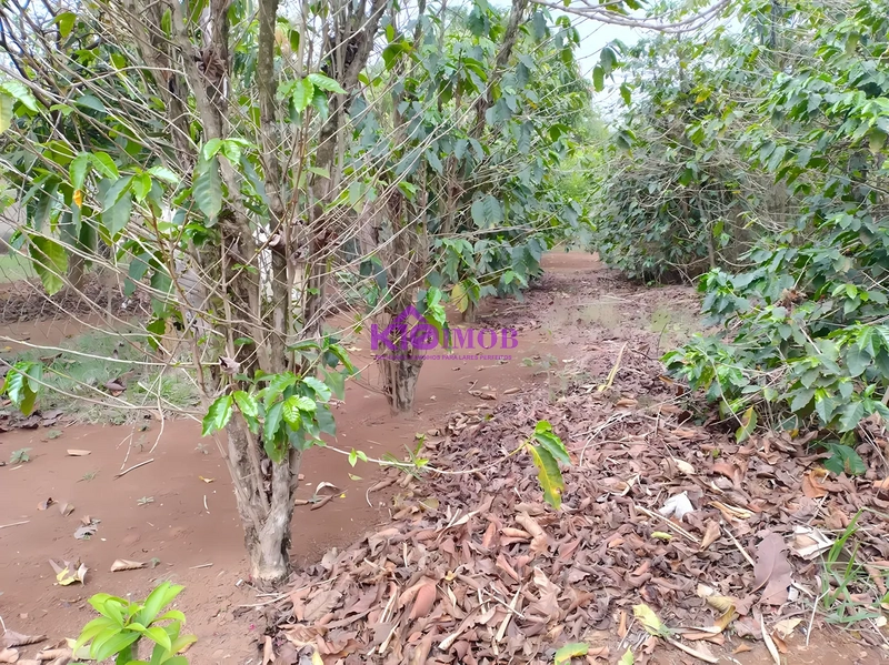 Terreno de 553m² para Chácara - Iperó/SP: 46ª foto da galeria de imagens do imóvel