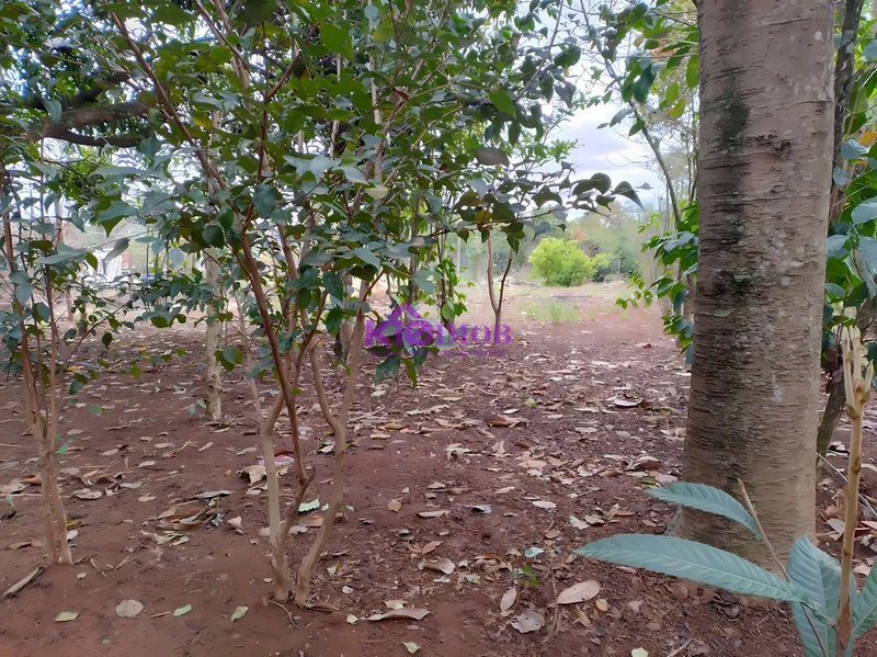 Terreno de 553m² para Chácara - Iperó/SP: 24ª foto da galeria de imagens do imóvel