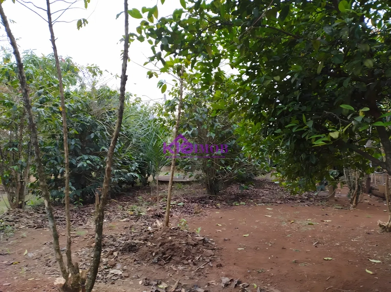 Terreno de 553m² para Chácara - Iperó/SP: 65ª foto da galeria de imagens do imóvel