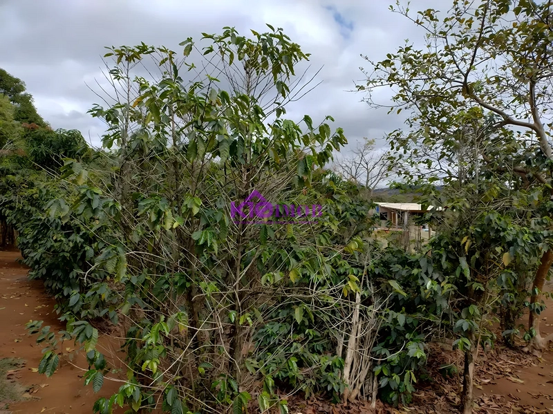Terreno de 553m² para Chácara - Iperó/SP: 41ª foto da galeria de imagens do imóvel