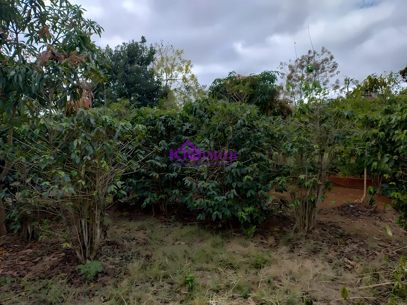 Terreno de 553m² para Chácara - Iperó/SP: 58ª foto da galeria de imagens do imóvel