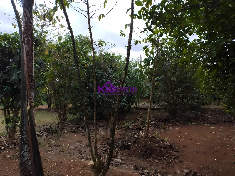 Terreno de 553m² para Chácara - Iperó/SP: 32ª foto da galeria de imagens do imóvel