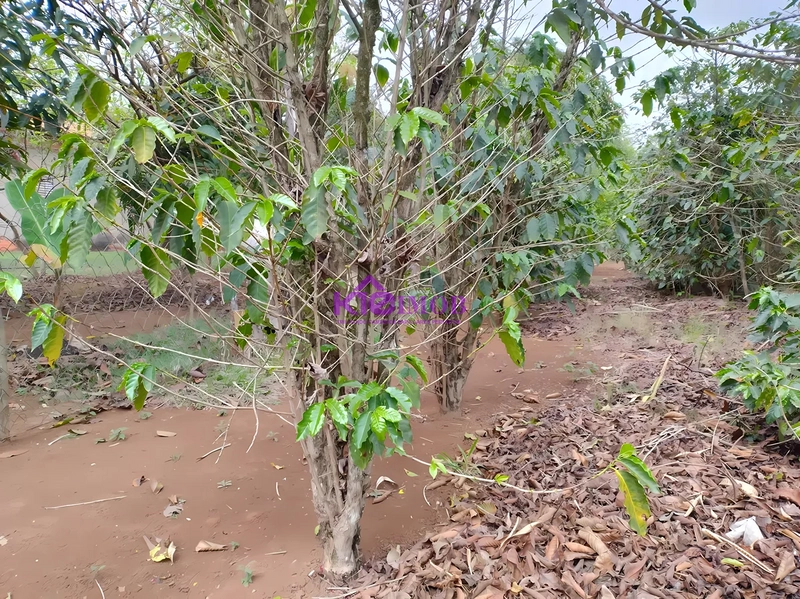 Terreno de 553m² para Chácara - Iperó/SP: 42ª foto da galeria de imagens do imóvel