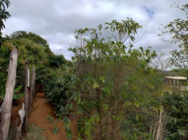 Terreno de 553m² para Chácara - Iperó/SP: 5ª foto da galeria de imagens do imóvel