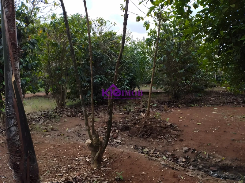 Terreno de 553m² para Chácara - Iperó/SP: 31ª foto da galeria de imagens do imóvel