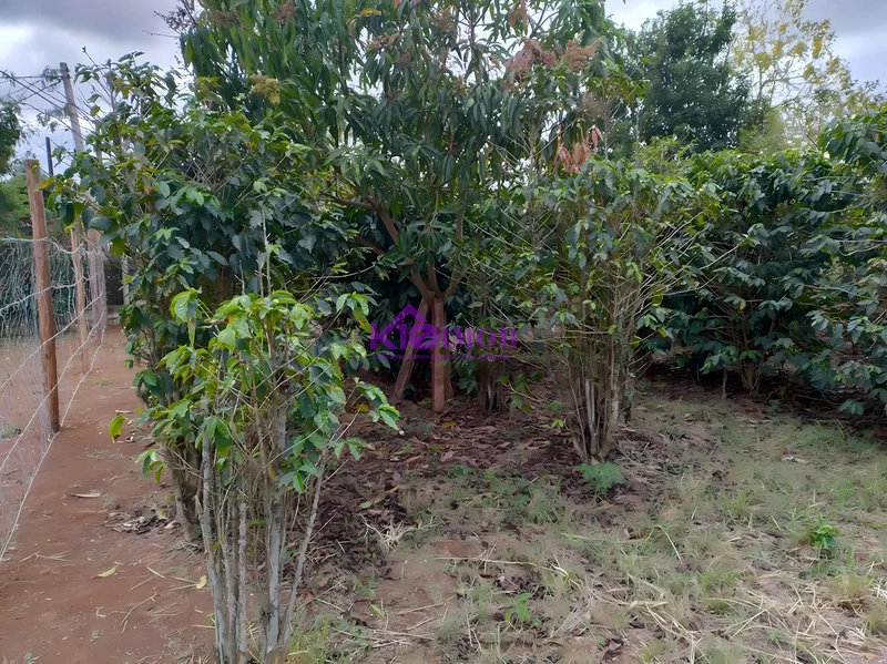 Terreno de 553m² para Chácara - Iperó/SP: 63ª foto da galeria de imagens do imóvel