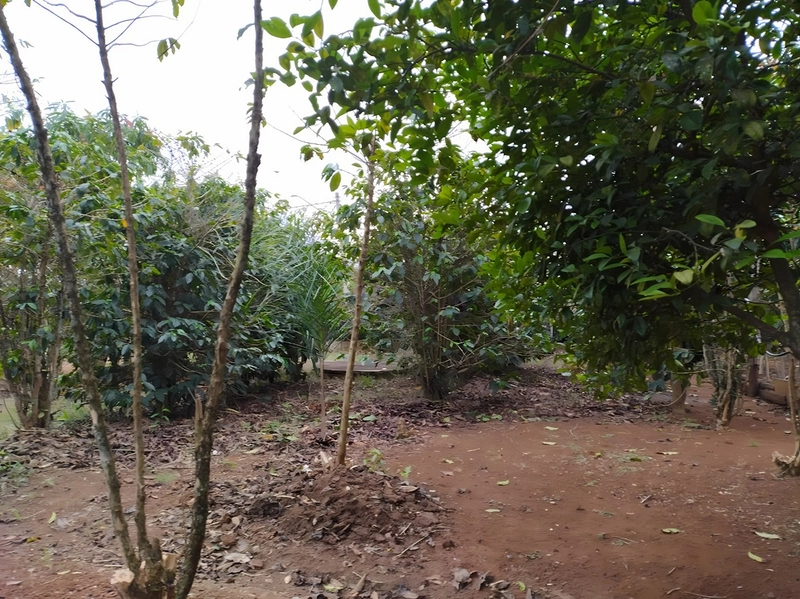 Terreno de 553m² para Chácara - Iperó/SP: 7ª foto da galeria de imagens do imóvel
