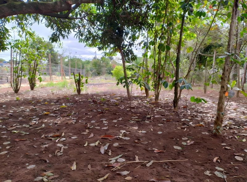 Terreno de 553m² para Chácara - Iperó/SP: 9ª foto da galeria de imagens do imóvel