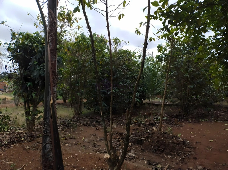 Terreno de 553m² para Chácara - Iperó/SP: 3ª foto da galeria de imagens do imóvel