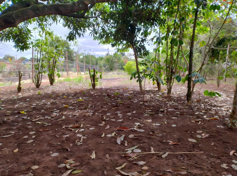 Terreno de 553m² para Chácara - Iperó/SP: 11ª foto da galeria de imagens do imóvel
