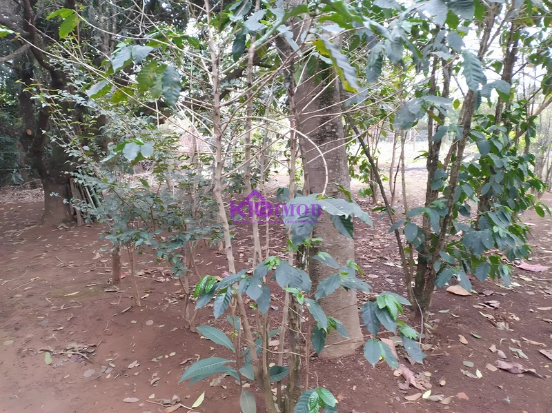 Terreno de 553m² para Chácara - Iperó/SP: 29ª foto da galeria de imagens do imóvel