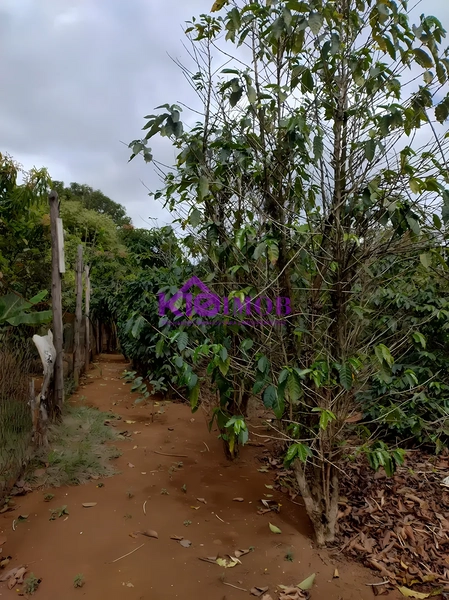 Terreno de 553m² para Chácara - Iperó/SP: 59ª foto da galeria de imagens do imóvel