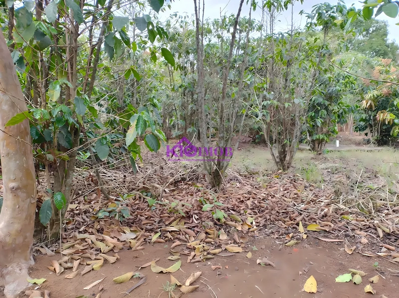 Terreno de 553m² para Chácara - Iperó/SP: 49ª foto da galeria de imagens do imóvel