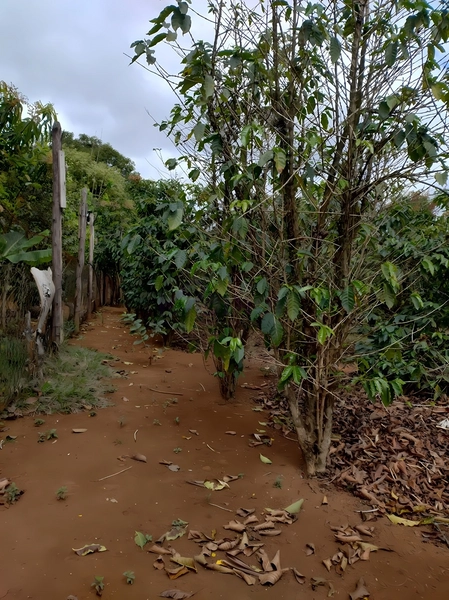 Terreno de 553m² para Chácara - Iperó/SP: 2ª foto da galeria de imagens do imóvel