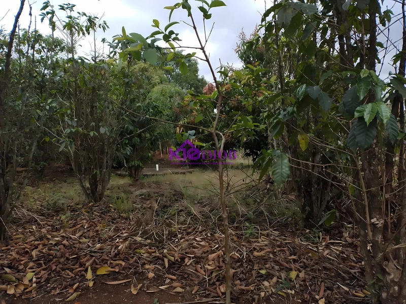 Terreno de 553m² para Chácara - Iperó/SP: 43ª foto da galeria de imagens do imóvel