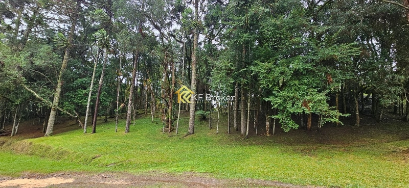 Chácara à Venda – Roça Velha, São José dos Pinhais/PR: 18ª foto da galeria de imagens do imóvel
