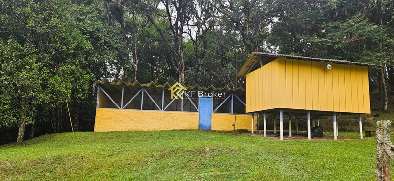 Chácara à Venda – Roça Velha, São José dos Pinhais/PR: 11ª foto da galeria de imagens do imóvel