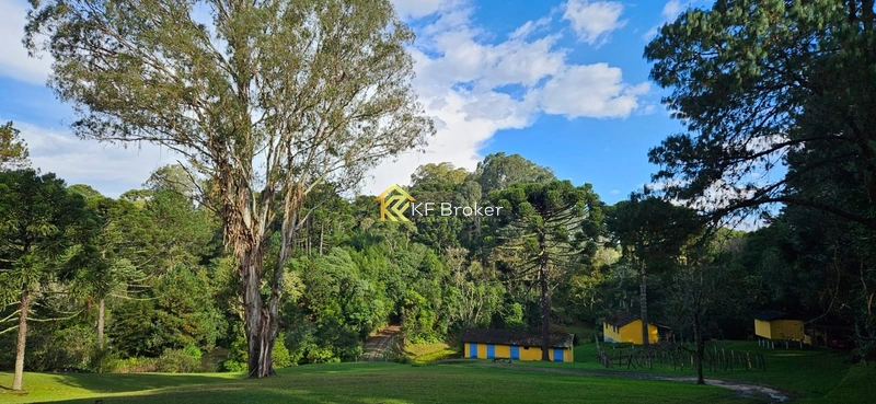 Chácara à Venda – Roça Velha, São José dos Pinhais/PR: 8ª foto da galeria de imagens do imóvel