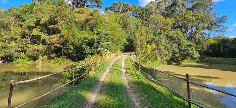 Chácara à Venda – Roça Velha, São José dos Pinhais/PR: 2ª foto da galeria de imagens do imóvel