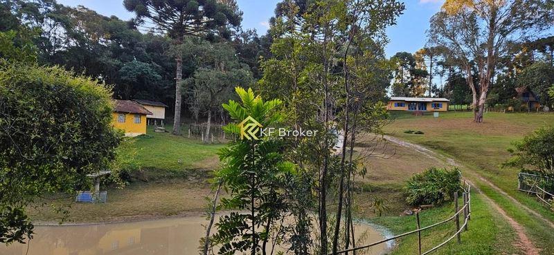 Chácara à Venda – Roça Velha, São José dos Pinhais/PR: 7ª foto da galeria de imagens do imóvel