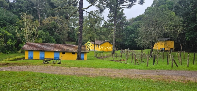 Chácara à Venda – Roça Velha, São José dos Pinhais/PR: 9ª foto da galeria de imagens do imóvel