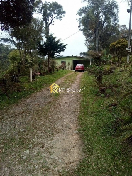 Terreno à Venda, BR-277 Sentido Litoral - São José dos Pinhais/PR: 4ª foto da galeria de imagens do imóvel