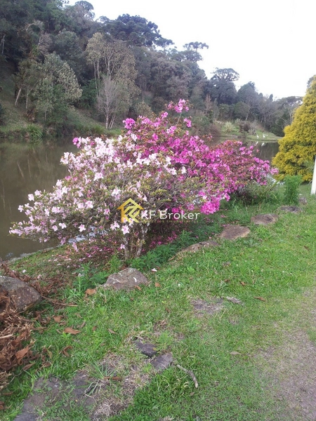 Terreno à Venda, BR-277 Sentido Litoral - São José dos Pinhais/PR: 6ª foto da galeria de imagens do imóvel