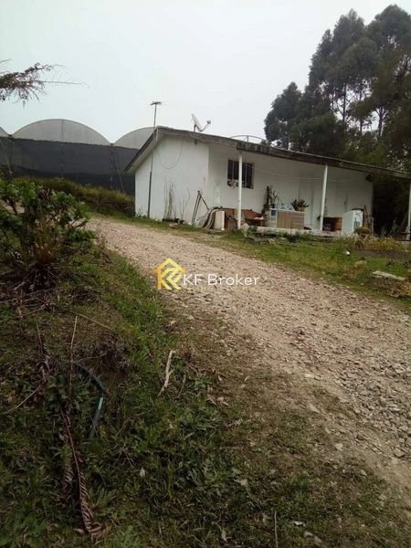 Terreno à Venda, BR-277 Sentido Litoral - São José dos Pinhais/PR: 5ª foto da galeria de imagens do imóvel