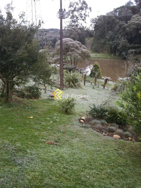 Terreno à Venda, BR-277 Sentido Litoral - São José dos Pinhais/PR: 7ª foto da galeria de imagens do imóvel