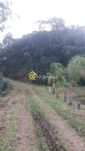 Terreno à Venda, BR-277 Sentido Litoral - São José dos Pinhais/PR: 3ª foto da galeria de imagens do imóvel