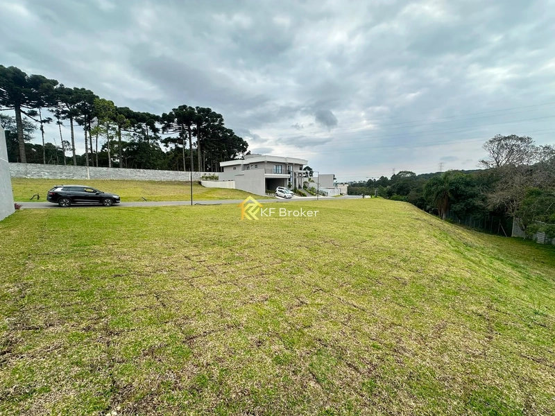 Terreno à Venda – Colônia Faria, Colombo/PR: 8ª foto da galeria de imagens do imóvel