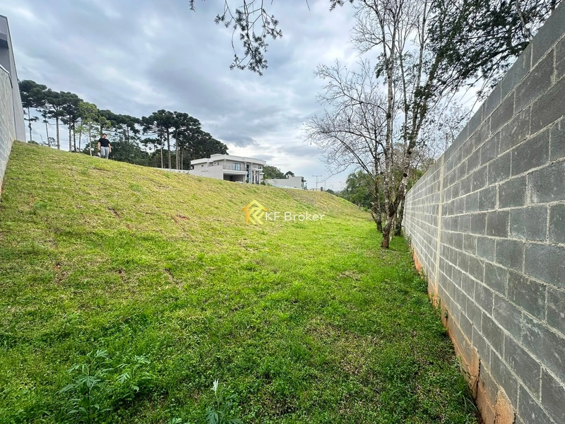 Terreno à Venda – Colônia Faria, Colombo/PR: 9ª foto da galeria de imagens do imóvel
