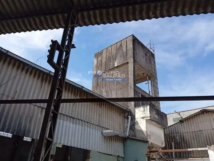 Galpão industrial para venda na vila Norma, São Paulo: 16ª foto da galeria de imagens do imóvel