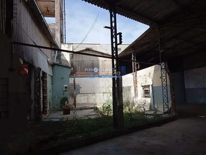 Galpão industrial para venda na vila Norma, São Paulo: 3ª foto da galeria de imagens do imóvel