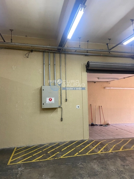 Galpão industrial para alugar em São Bernardo do Campo, Jardim São Francisco: 7ª foto da galeria de imagens do imóvel