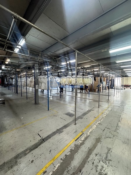  Galpão Industrial e Comercial para Venda | 3749 m² | Alphaville – Barueri: 7ª foto da galeria de imagens do imóvel