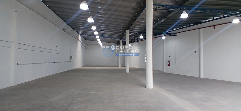 Galpão industrial para aluguel na vila Apiai, Santo André : 12ª foto da galeria de imagens do imóvel