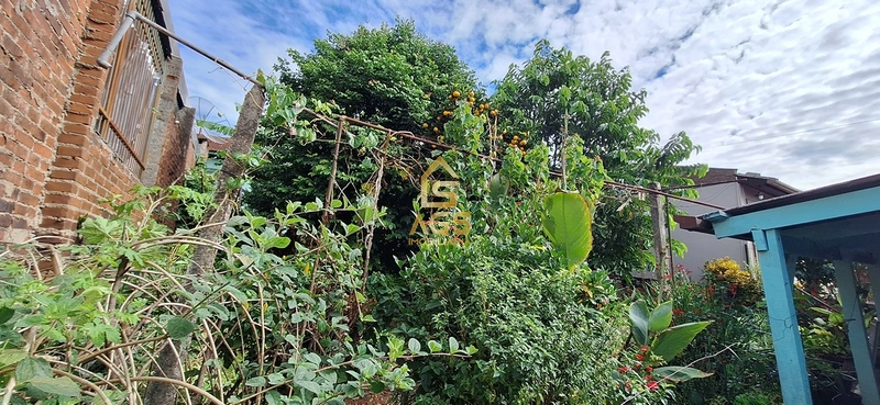 Casa 3 dormitórios à venda no Alto da Bronze : 17ª foto da galeria de imagens do imóvel