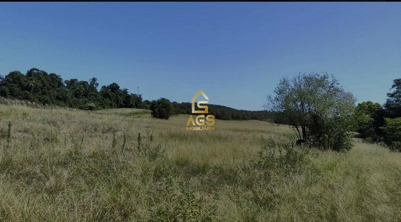 Área de terras em Mato Leitão : 5ª foto da galeria de imagens do imóvel